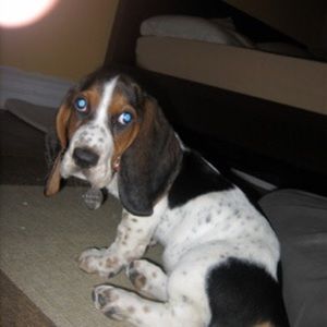 Meet your Posher, Jordan